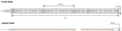 Grow Light