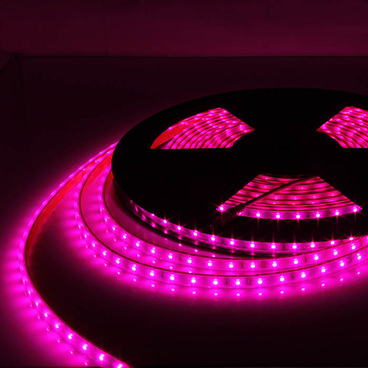 Tg Type Led LED – tg tech lighting