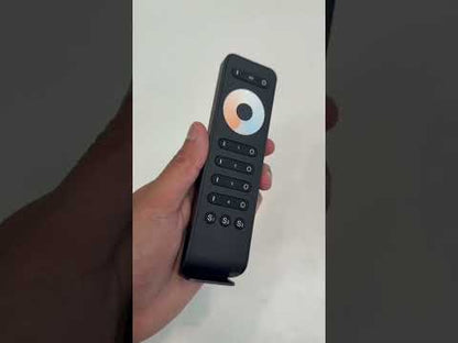 RS2 Dual white remote